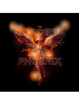 Order Of The Phoenix - Harry Potter Official T-shirt