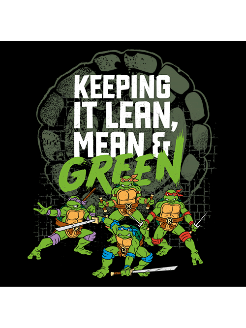 A Lean, Green, and Mean Guide to the Teenage Mutant Ninja Turtles