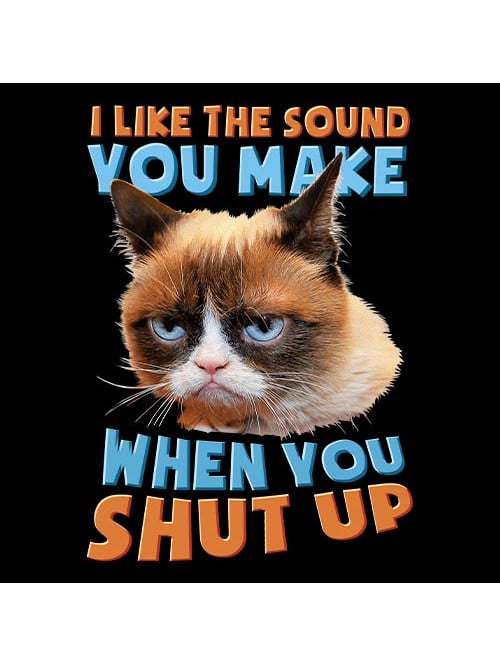 angry cat shut up