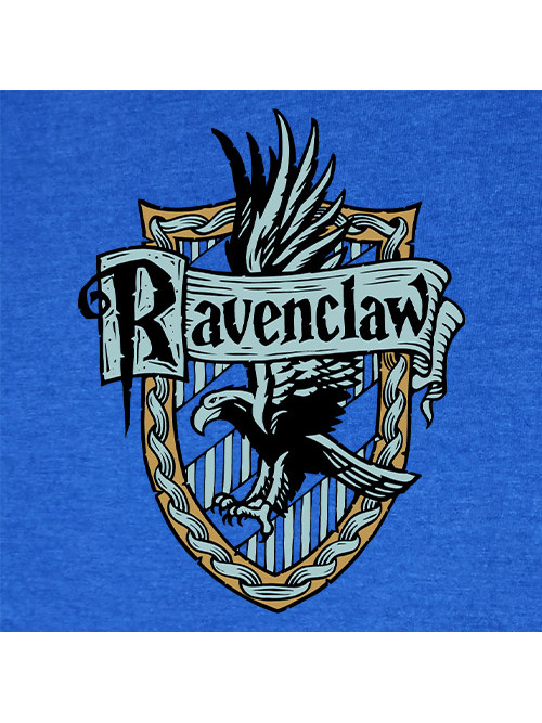Harry Potter Ravenclaw Logo, HD Png Download is free transparent png image.  To explore more similar hd image on … | Ravenclaw logo, Ravenclaw, Harry  potter painting