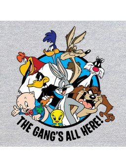 Looney Tunes Gang - Looney Tunes Official Hoodie