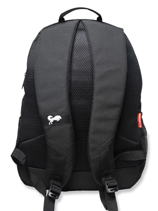 Buy Red Backpacks for Men by Skybags Online | Ajio.com