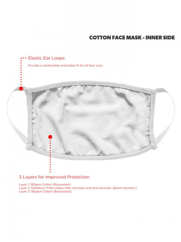 napa dust mask