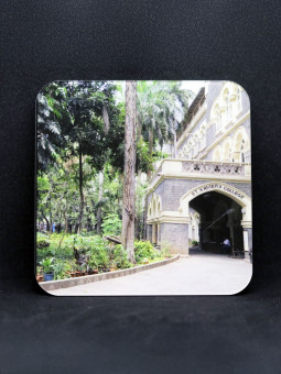 College Entrance - Coaster