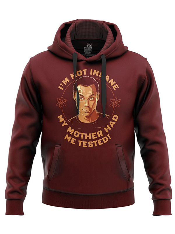 I'm Not Insane Hoodie | Official The Big Bang Theory Merchandise | Redwolf